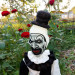 Terrifier Slesher movie killer clown doll 22.8 inshes ( 55 cm ), Halloween decoration