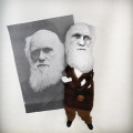 Charles Darwin doll
