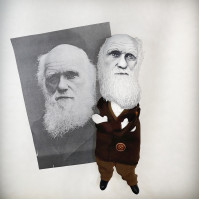 Charles Darwin doll